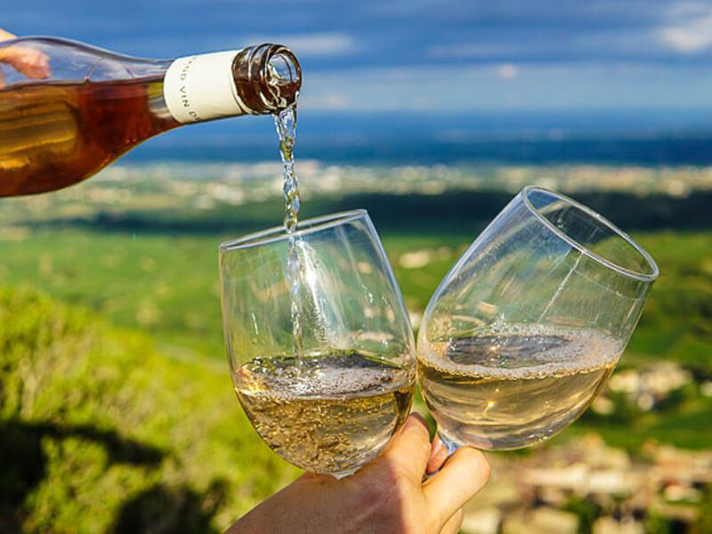 Wine Tasting in Barossa Valley