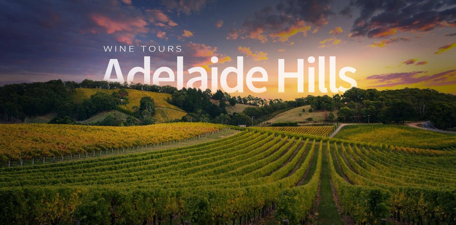 adelaide hills wine tour bus